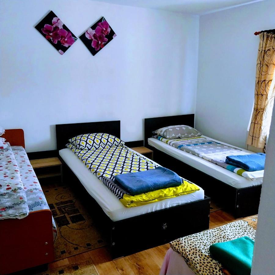 Pensiunea Casa Andreea Novaci-Străini Exterior foto